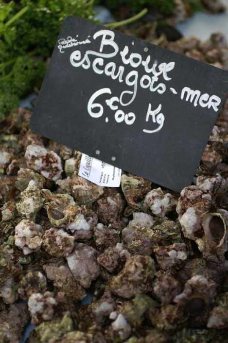 Sea snails, Arles market